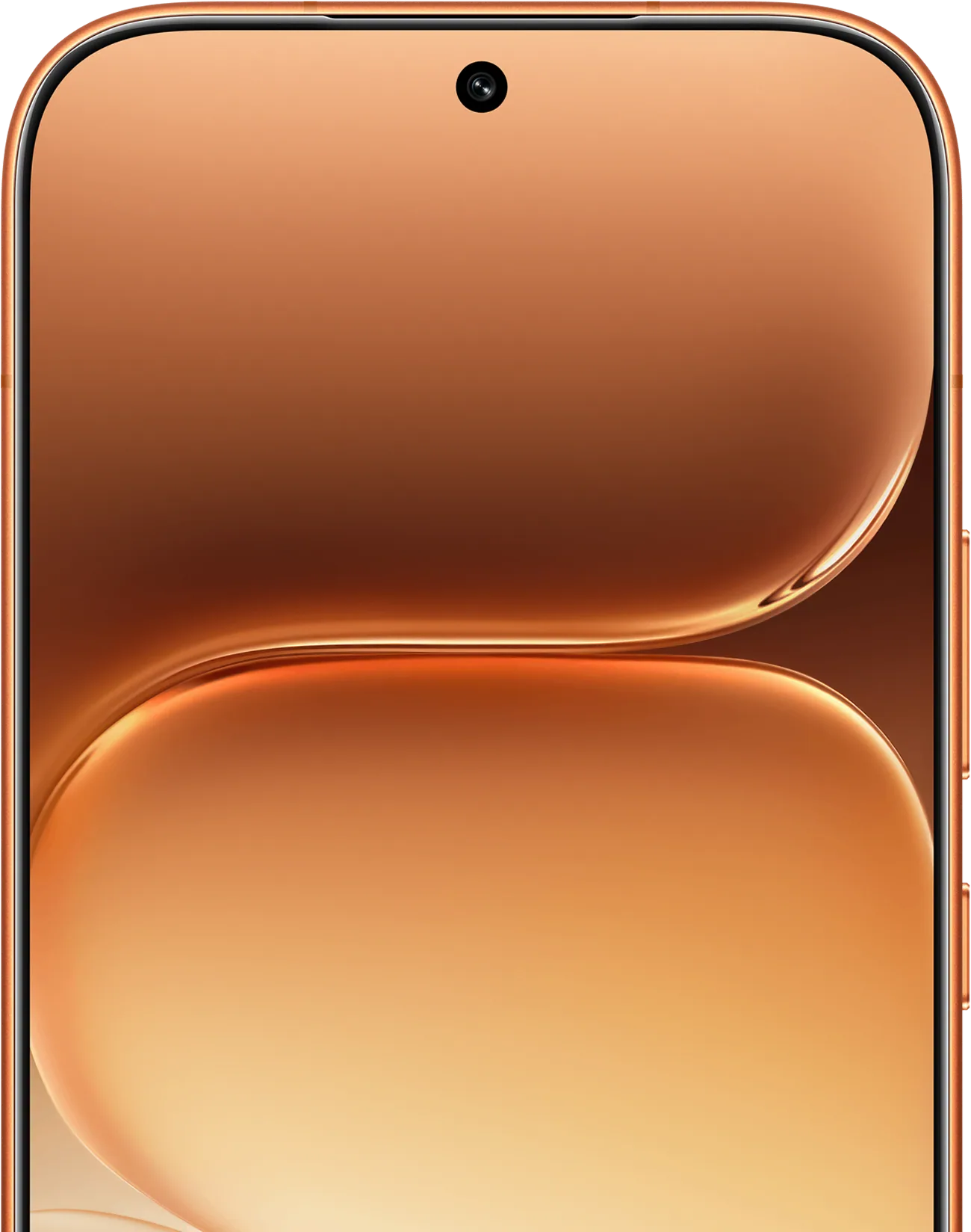 חזית הונור 600 עם מסך AMOLED שטוח בגודל 6.57 אינץ' ומצלמת סלפי